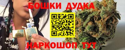 молекула духа Гатчина