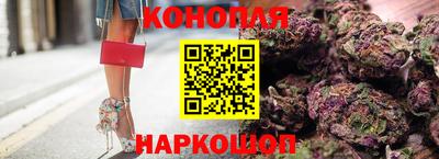молекула духа Гатчина